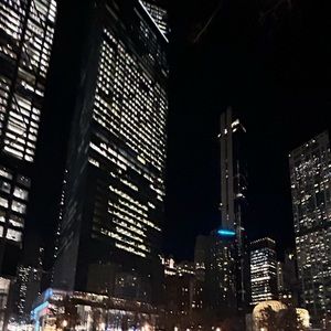 Meet your Posher, Izzy